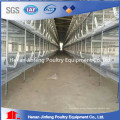 H Type Chicken Egg Laying Cages for Chicken Coops